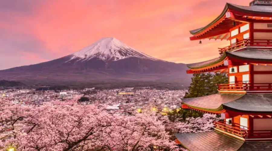 A Comprehensive Guide to Japan Visas: Types, Requirements, and More