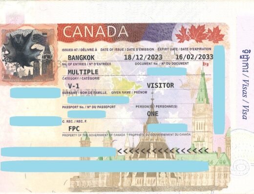 Open Team Translation and Visa Services