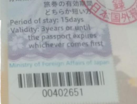 Jasa Pengurusan Visa China, Jepang, Schengen | Syafna Visa