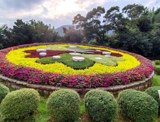 Yangmingshan National Park