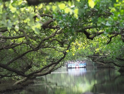 Taijiang National Park