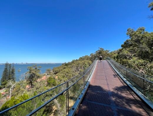 Kings Park and Botanic Garden