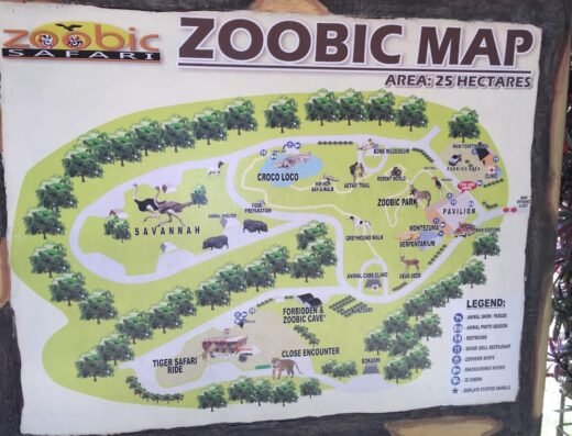 Zoobic Safari